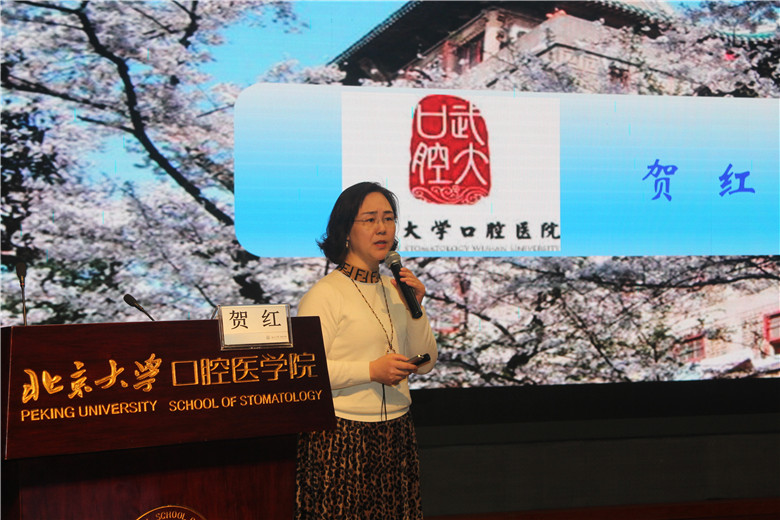 P10 贺红_已压缩.jpg